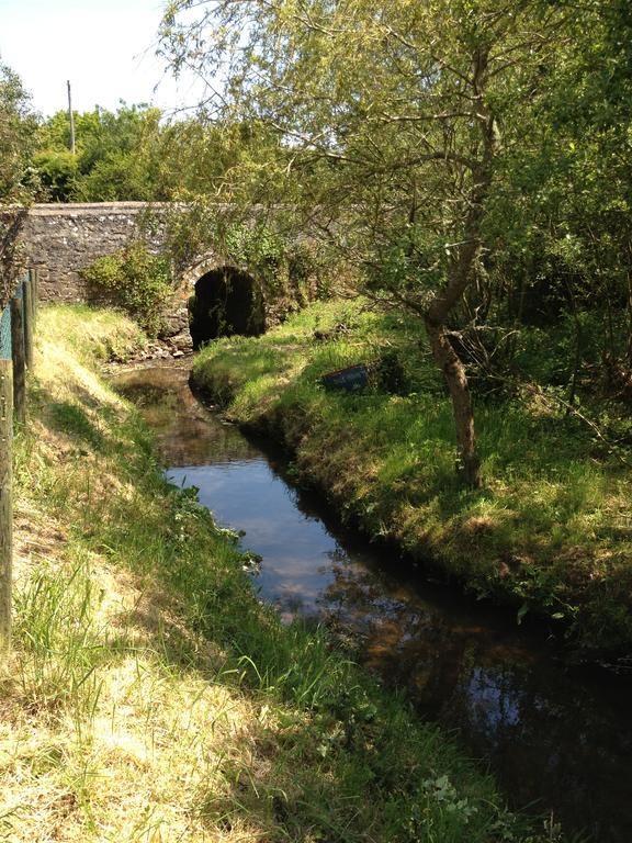 Charming Welsh Cottage Johnston Exteriör bild