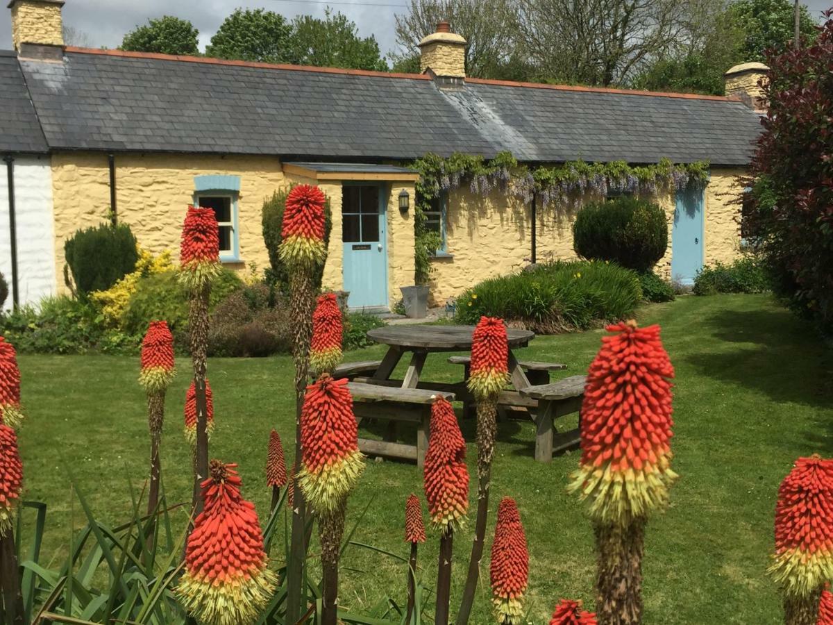Charming Welsh Cottage Johnston Exteriör bild